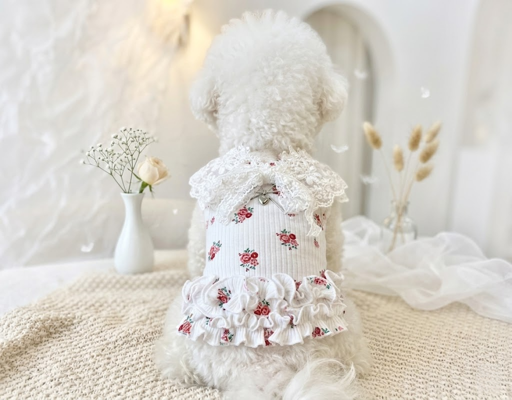 Rosé │玫瑰柔棉荷葉邊背心